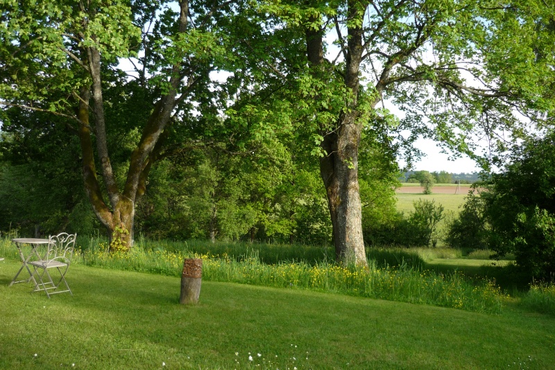 Blick nach Süden vom Forsthaus-Weiler