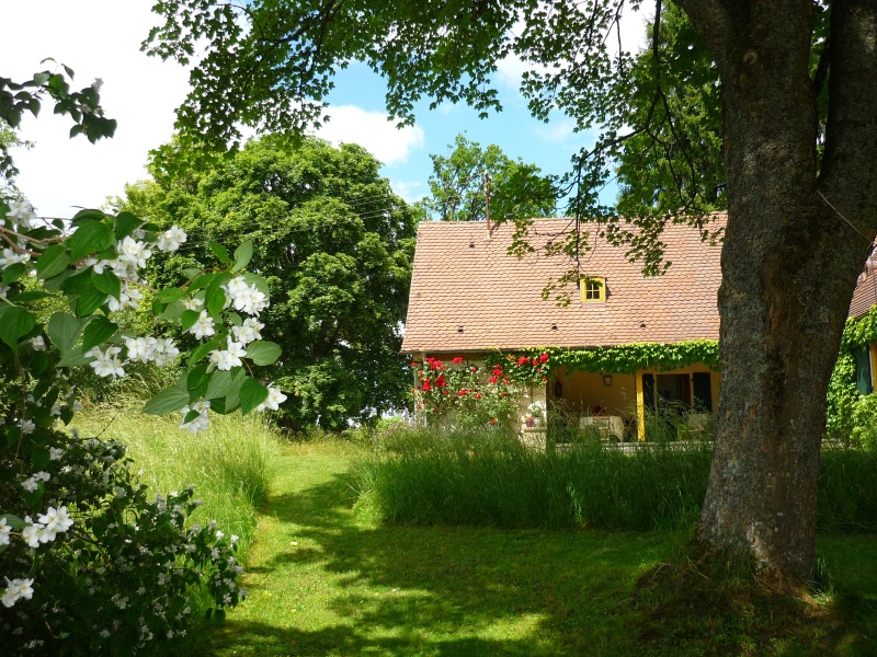 Einladung ins Forsthaus-Weiler