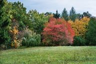 herbst-02-herbstruhe.jpg