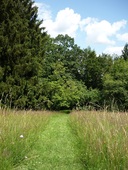 wege-durch-den-garten-iv.jpg