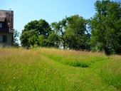 weg-aus-dem-wald.jpg